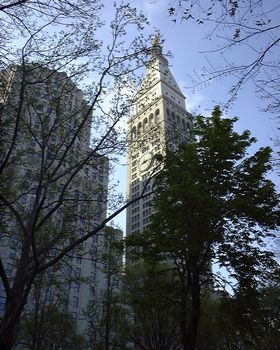 Looking east in Madison Square Park