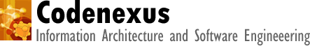 Codenexus: Information Architecture and Software Engineering